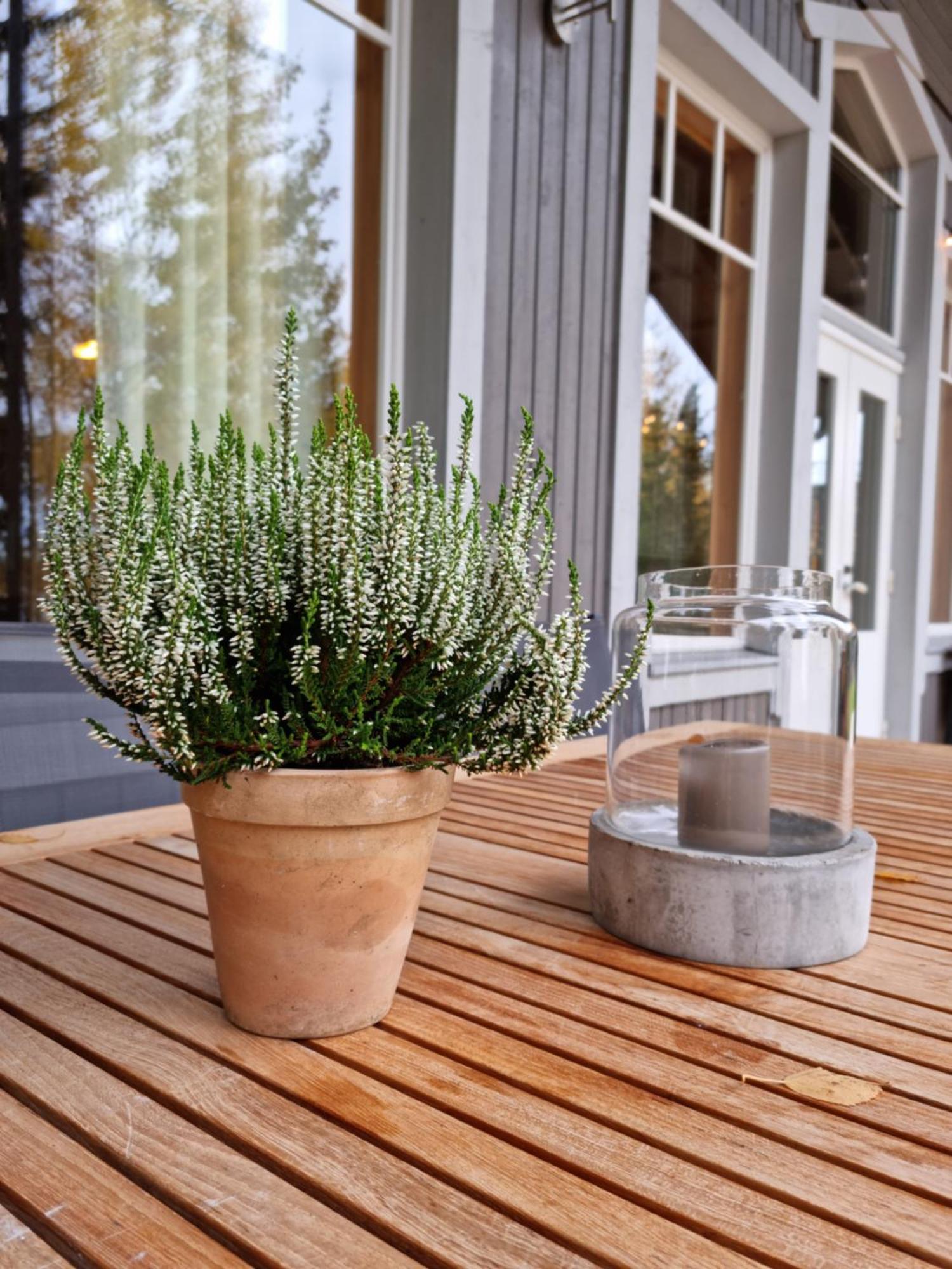 Miiluranta Villas Haapamäki Kültér fotó
